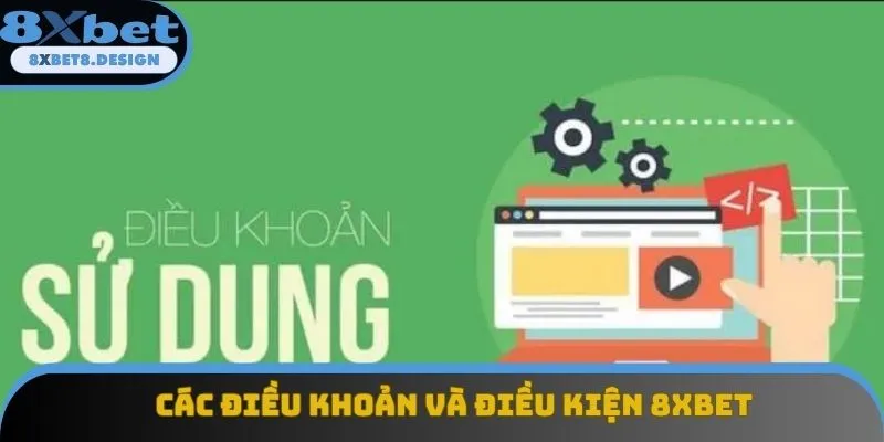 Các điều khoản và điều kiện 8XBET cần tuân thủ