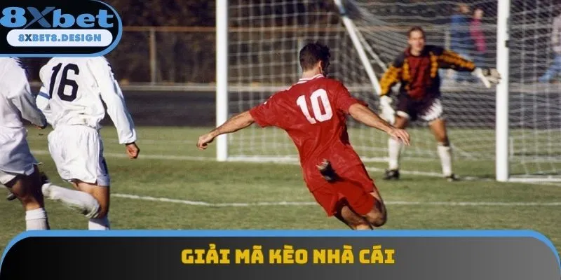 Giải Mã Kèo Nhà Cái - Hướng Dẫn Cách Chơi Cho Người Mới