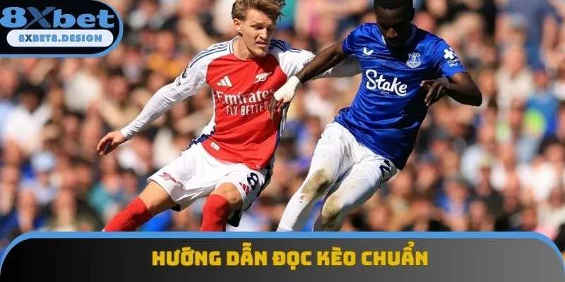 Hướng dẫn người chơi đọc kèo chuẩn Hướng dẫn người chơi đọc kèo chuẩn