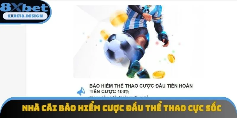 Nhà cái bảo hiểm cược đầu thể thao cực sốc