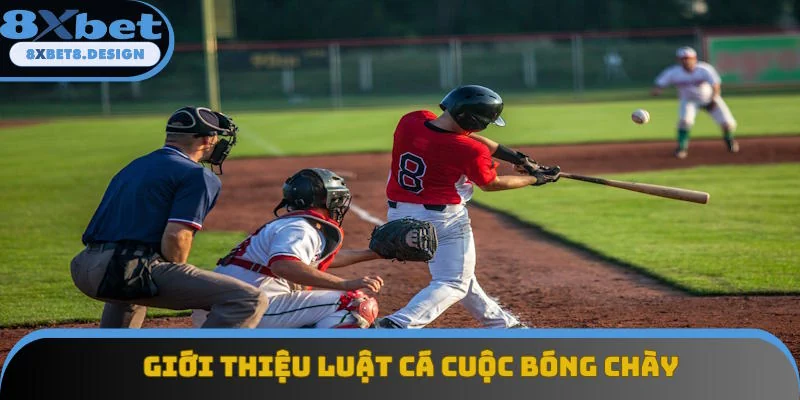 Nội dung giới thiệu luật cá cược bóng chày